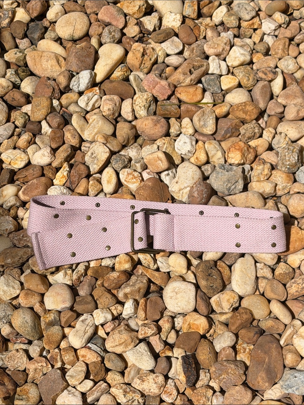 Wide Pink Canvas Belt with Gold-Tone Hardware